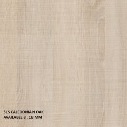 51S CALEDONIAN OAK_51S Caledonian Oak  Sega_03-Alkhawaja For lumber trading  الخواجة لتجارة الاخشاب FINSA LAMINATE WOOD Panels SUPERBAN - GAMA DUO 28