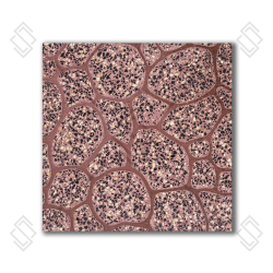 Tile